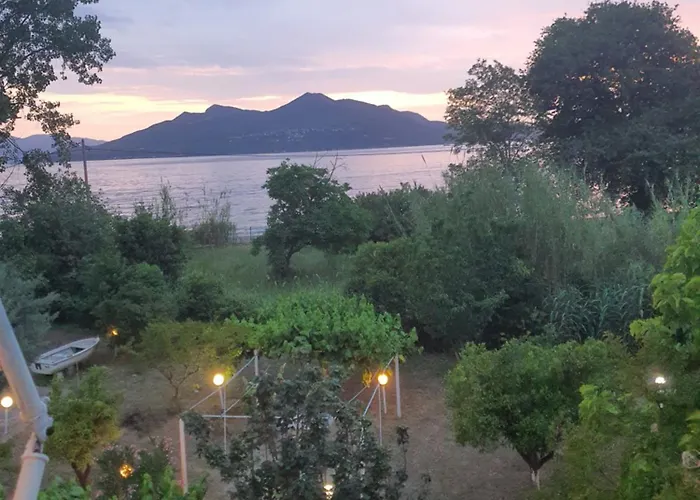 Lou & 艾迪普索斯